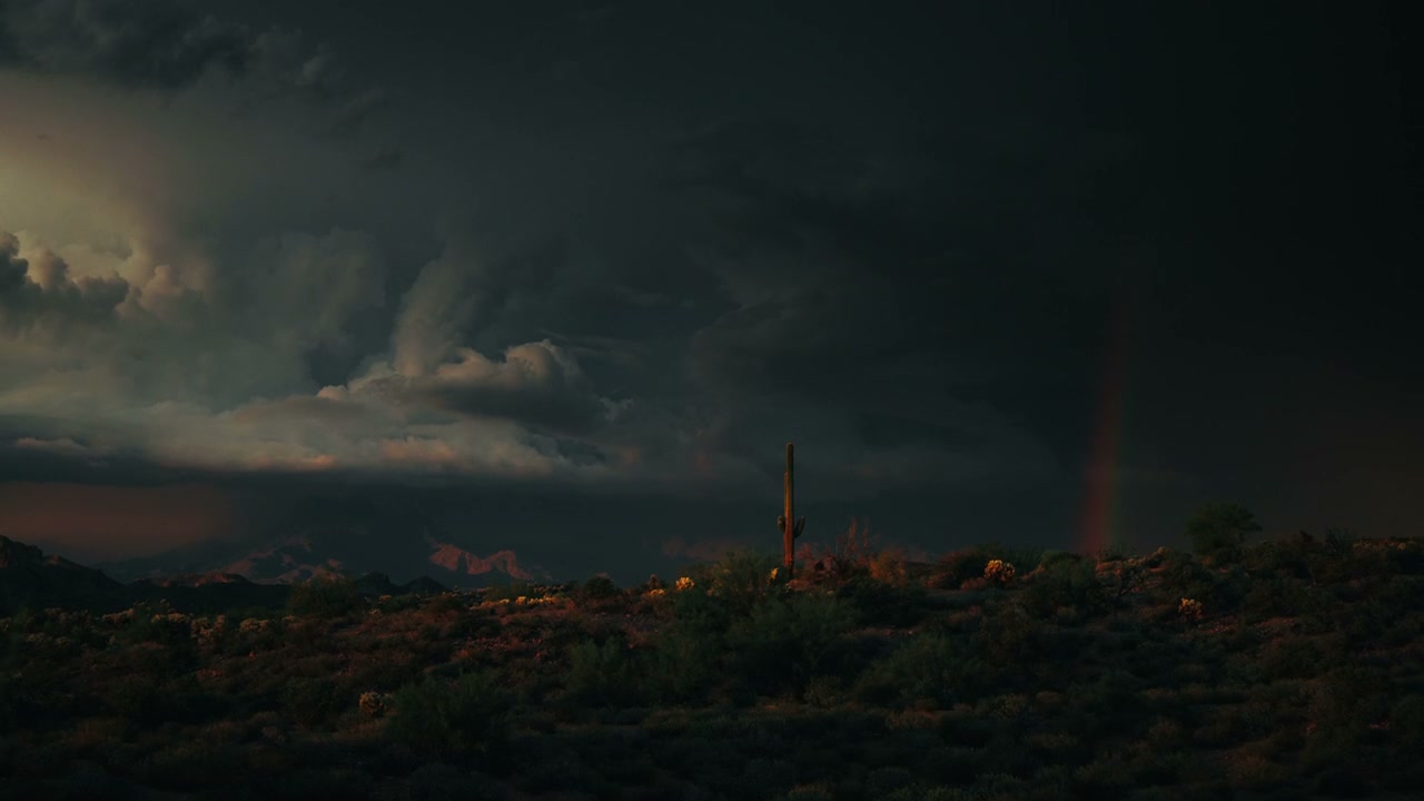 Dramatic Desert Sky with Saguaro Cactus