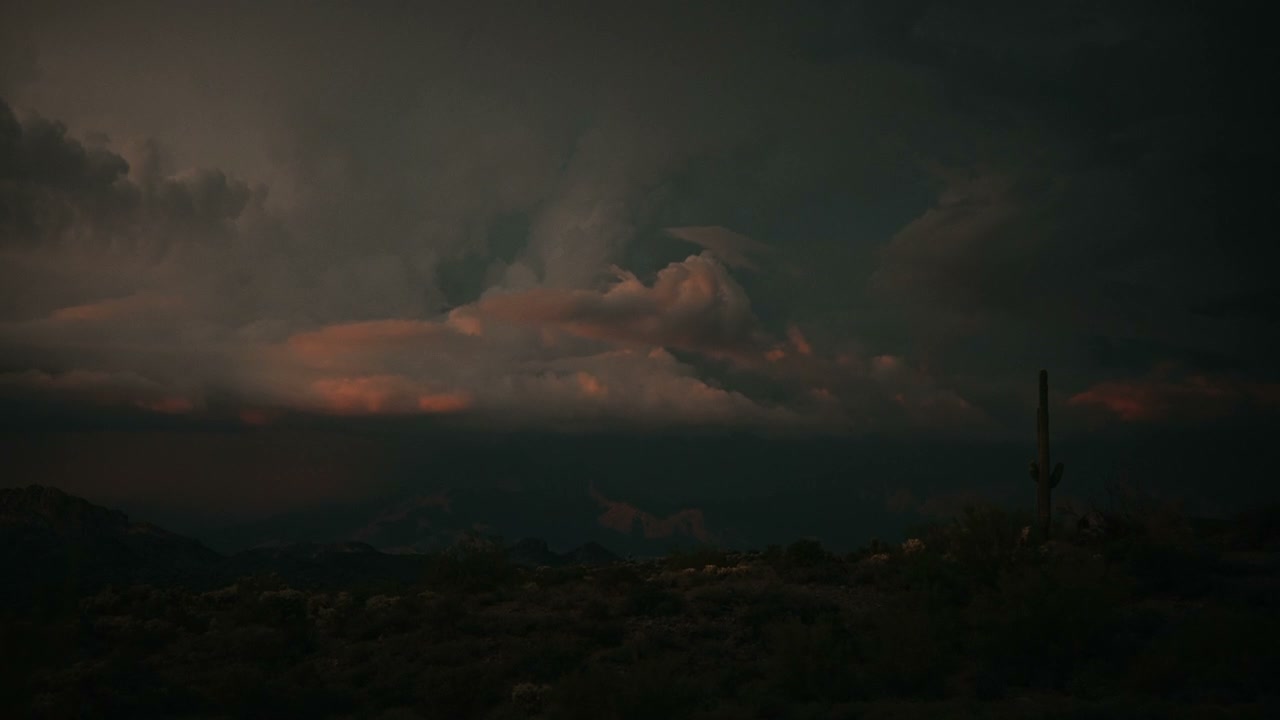 Dramatic Lightning Over Saguaro Desert