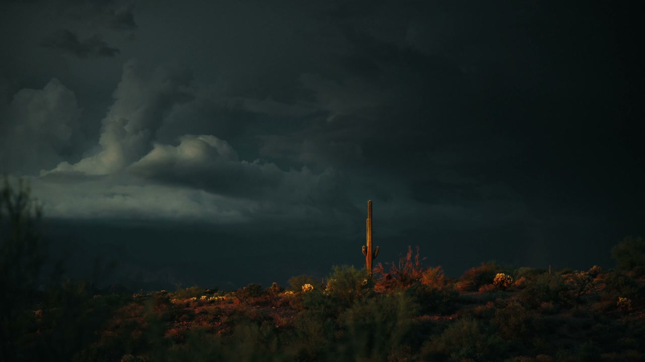 Lightning Strikes Desert Saguaro