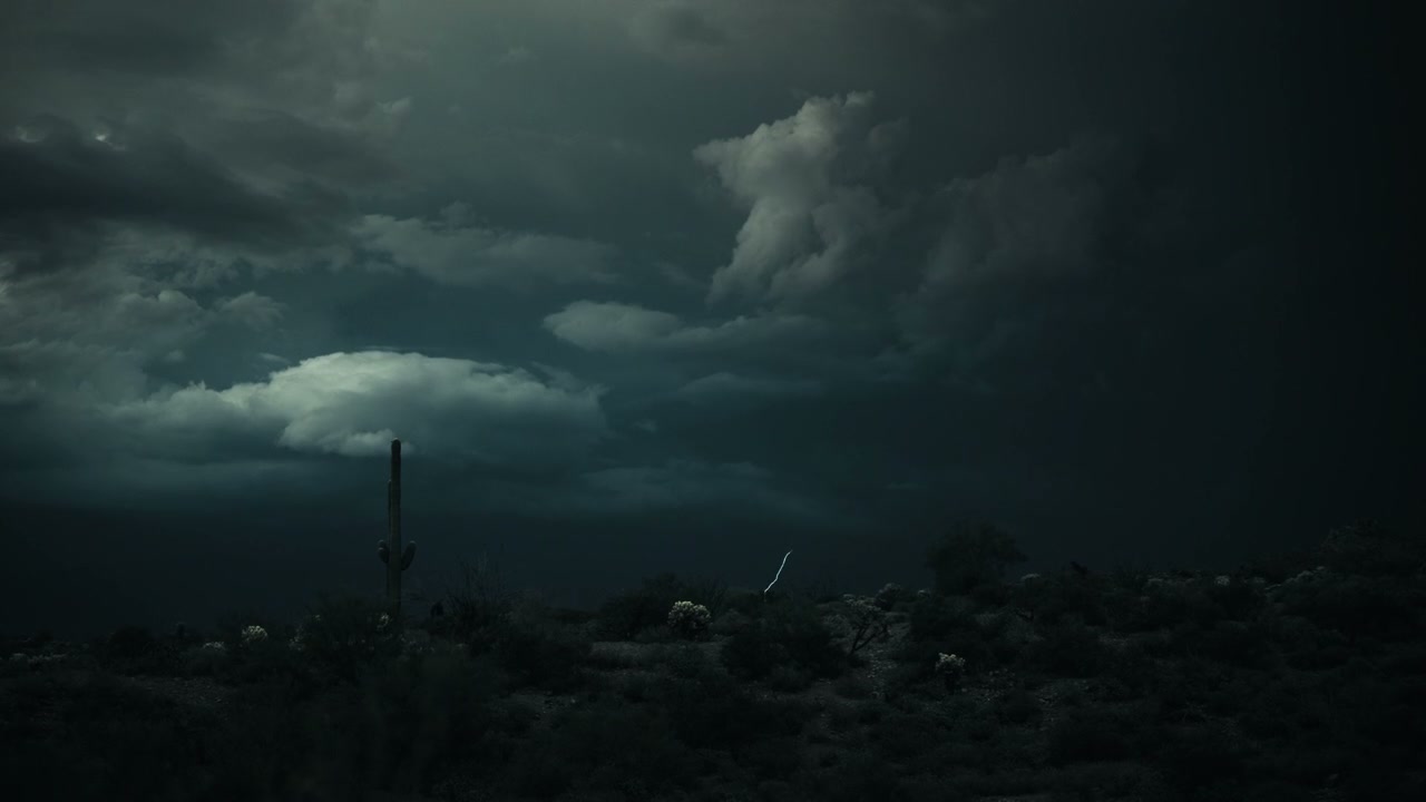 Desert Storm with Lightning and Saguaro