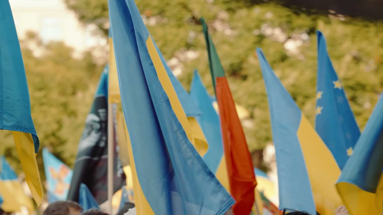 video preview
