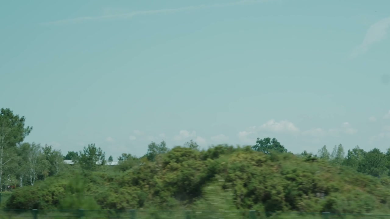Driving Past Green Countryside Trees