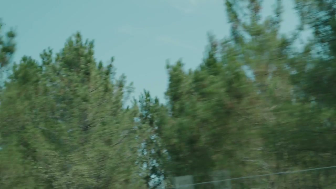 Driving Past Green Trees