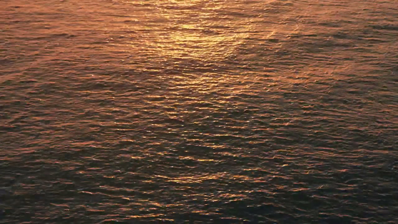 Golden Sunlight Reflecting on Calm Ocean