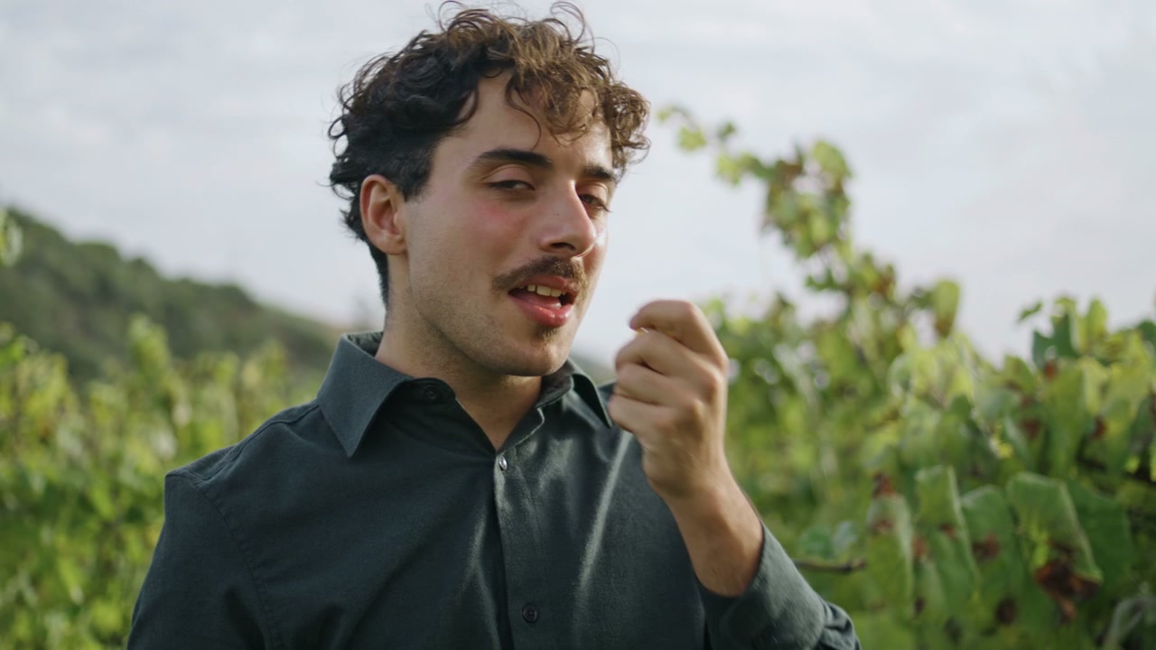 video preview