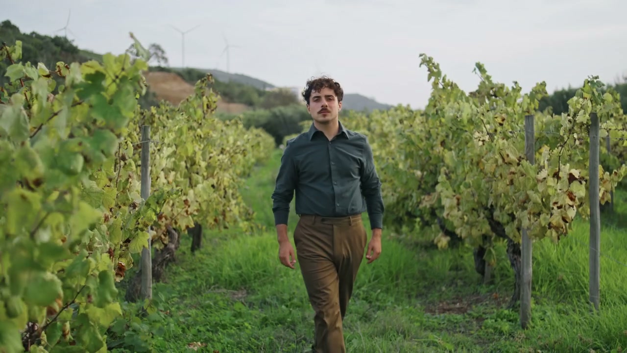 Winegrower Strolling Through Vineyard