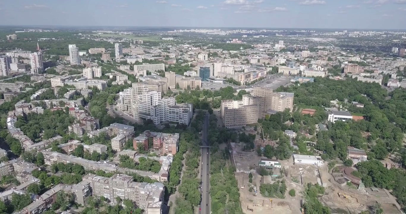Aerial View of Cityscape and Tree-Lined Street