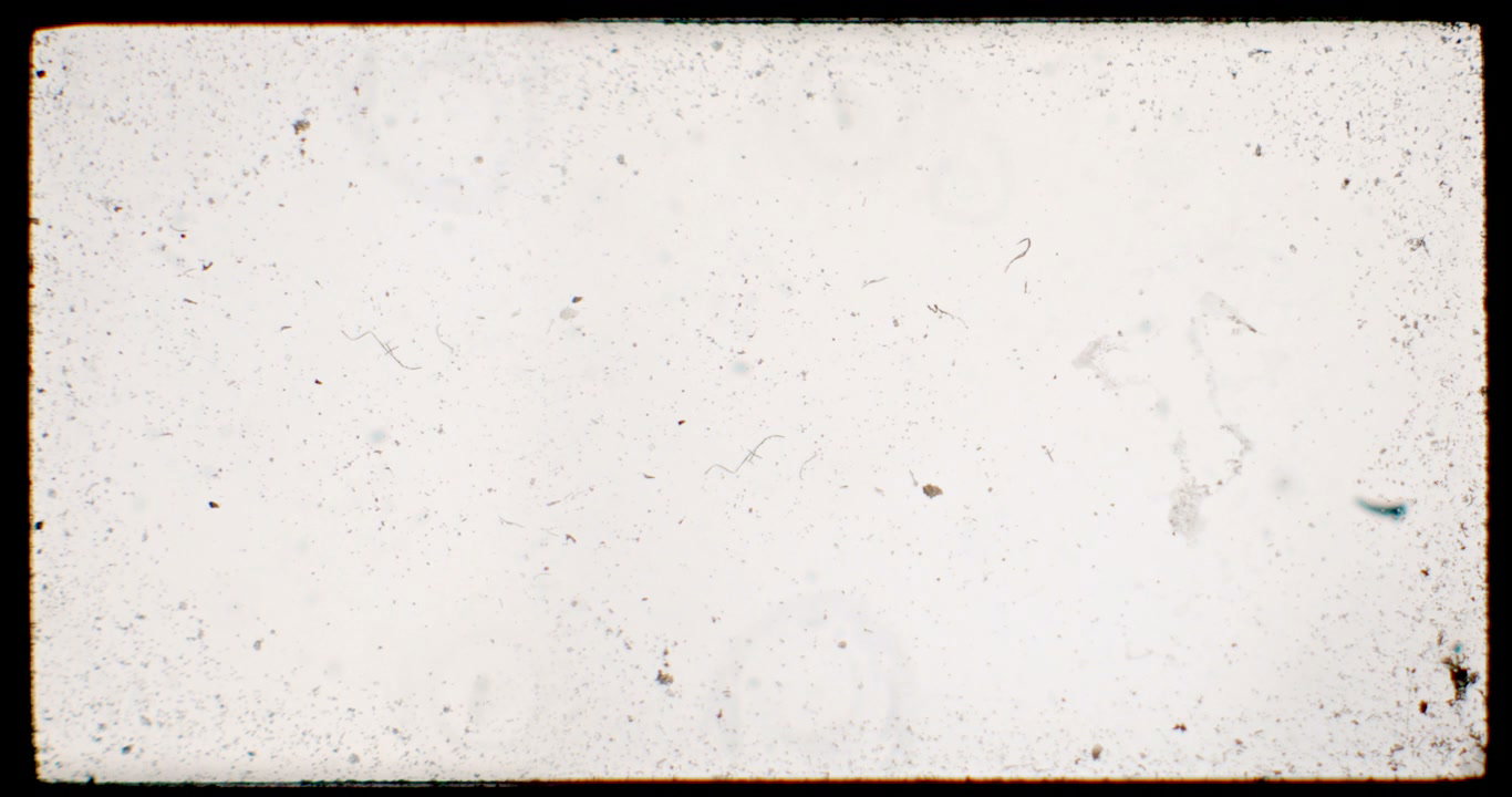 Vintage Viewfinder Film Overlay
