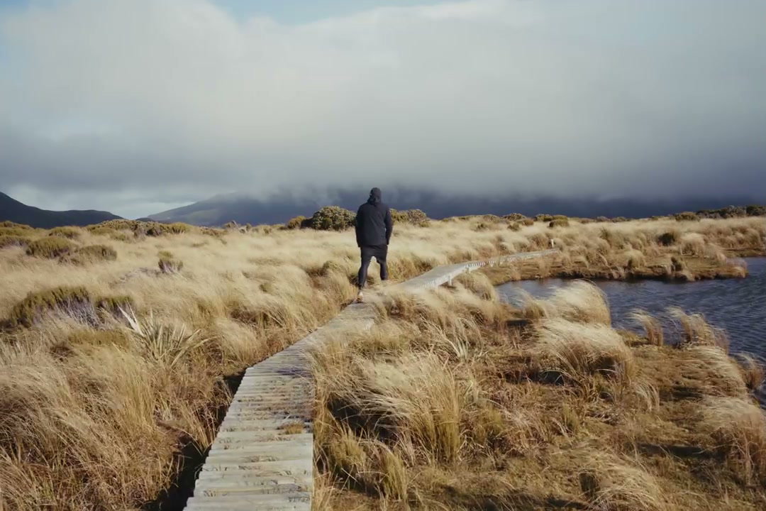 video preview