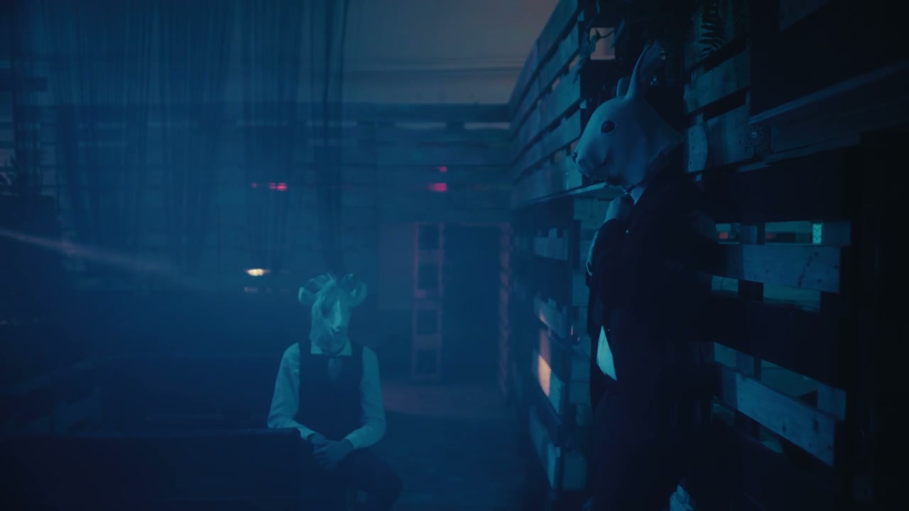 video preview