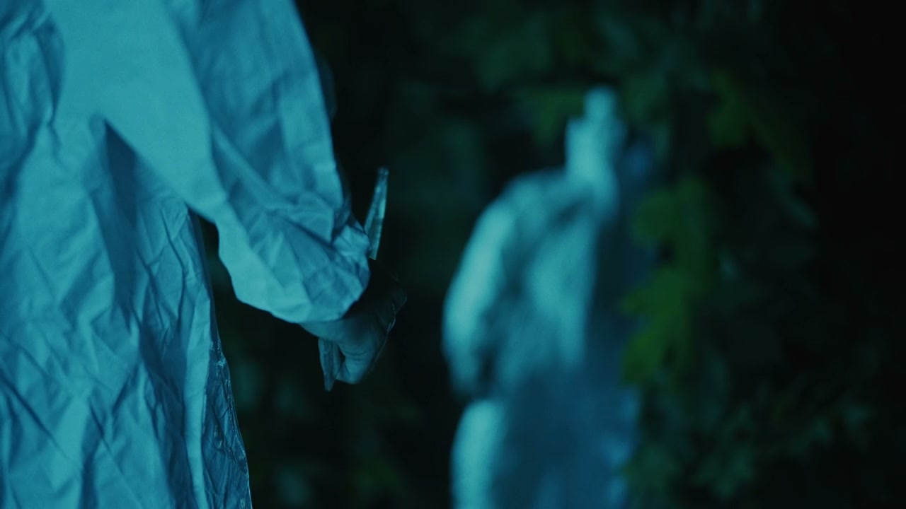 video preview