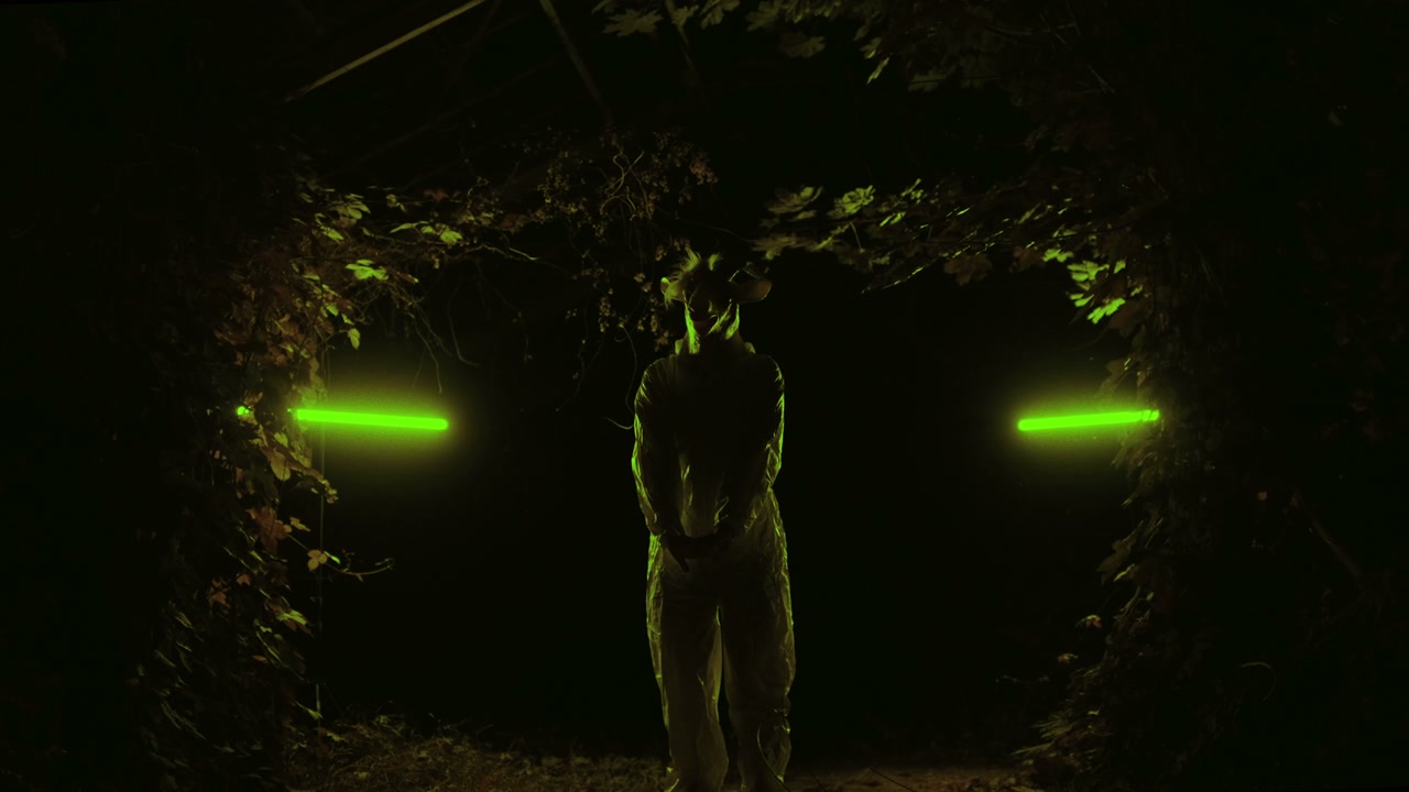 video preview