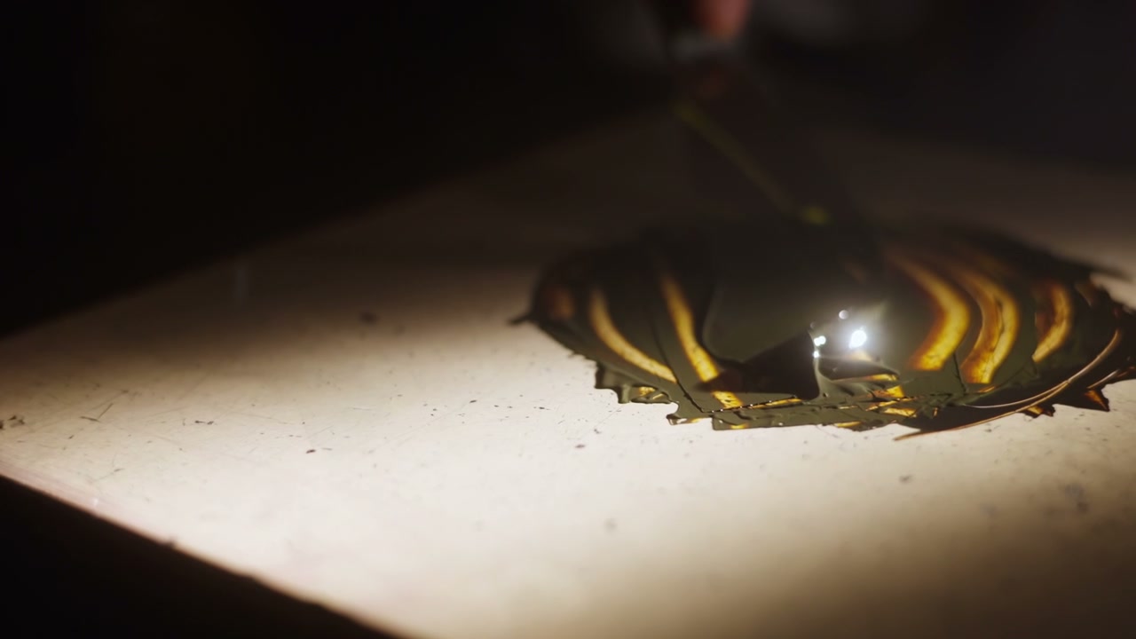 video preview