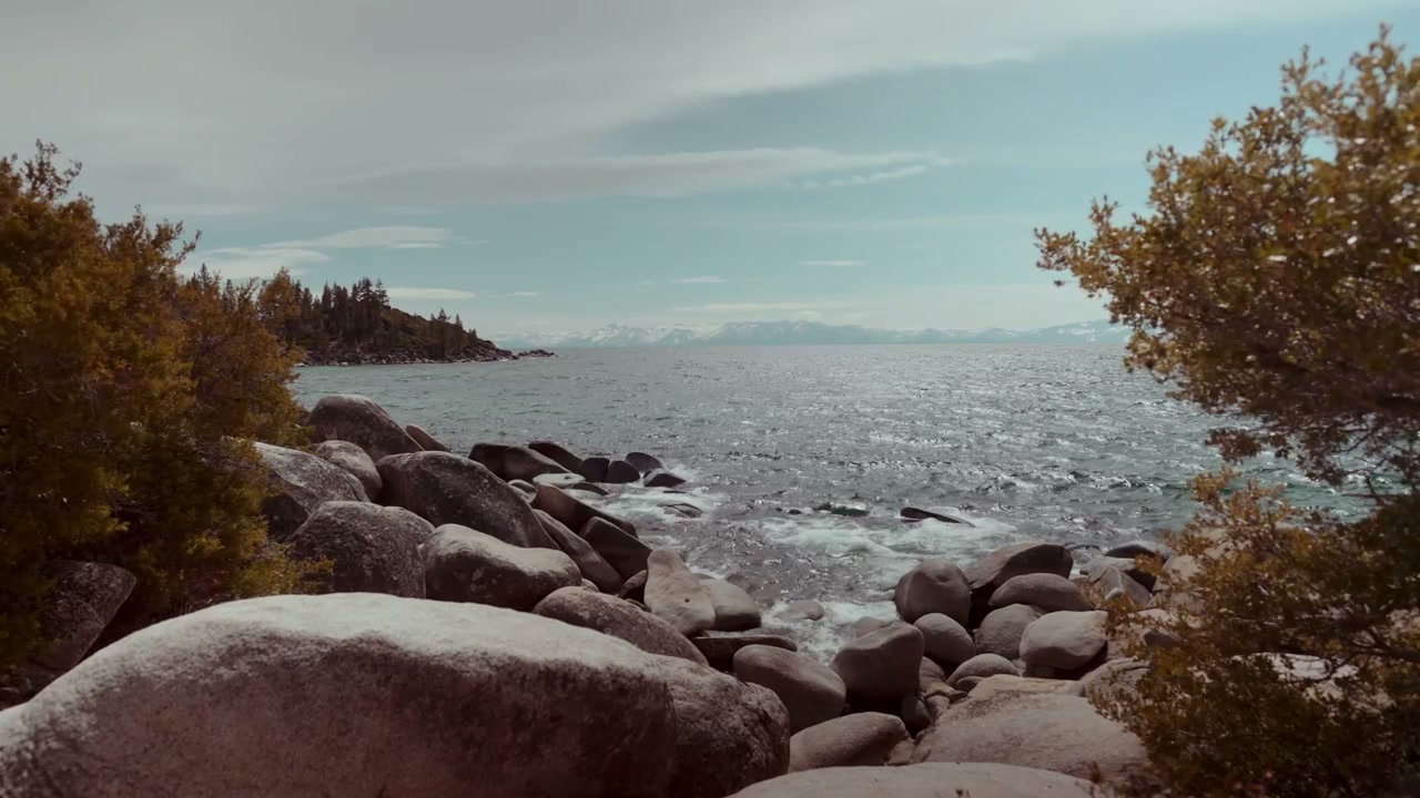 video preview