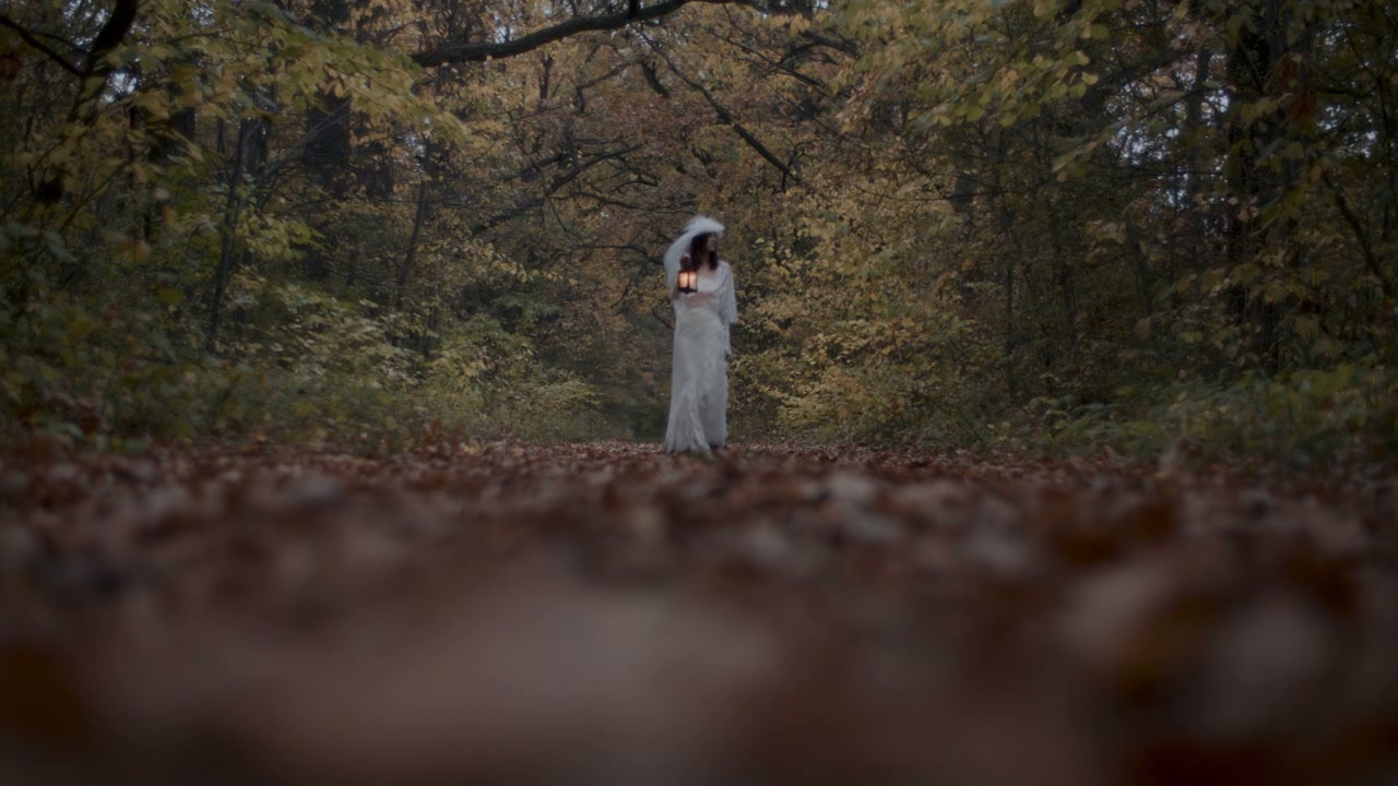Mysterious Bride With Lantern in Autumn Woods
