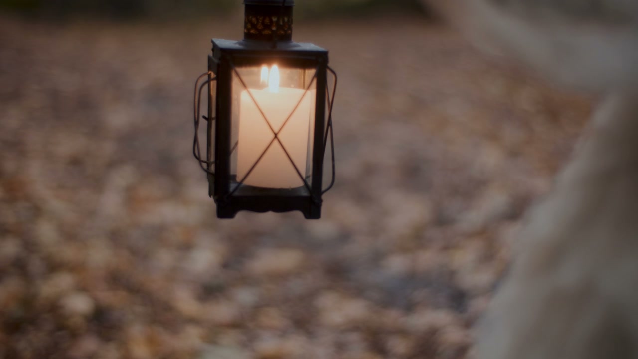 Person Holding Lit Lantern in Forest