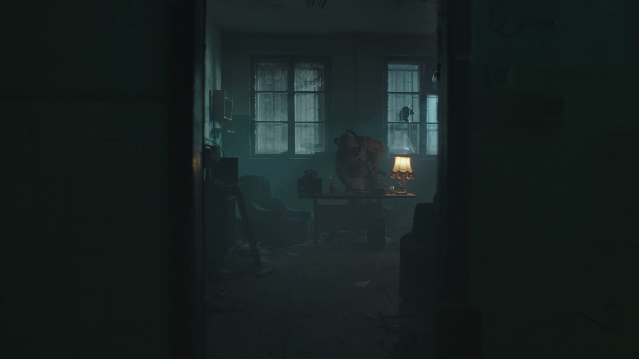 video preview