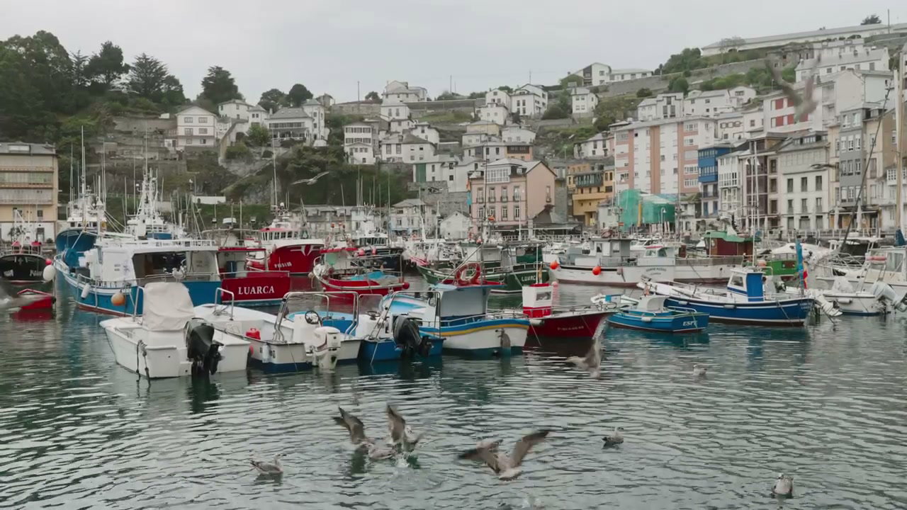 Luarca Fishing Boats and Town Harbor
