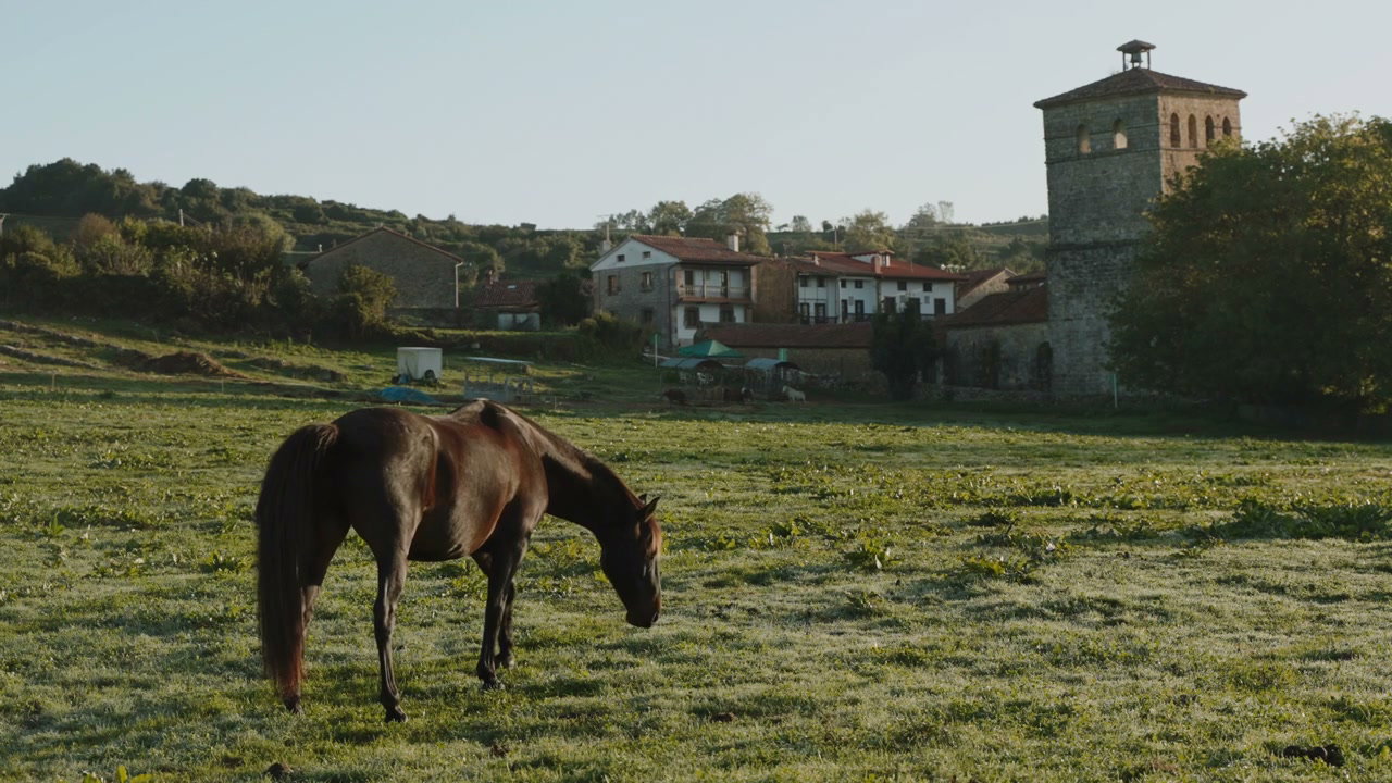 Horse Grazing in Rural Spanish Village