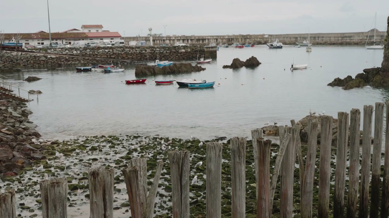 Coastal Harbor with Boats in Northern Spain