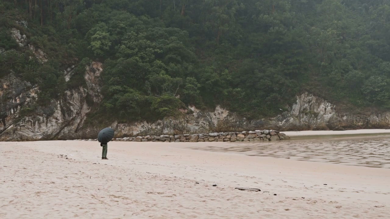 Person with Umbrella on Sandy Beach