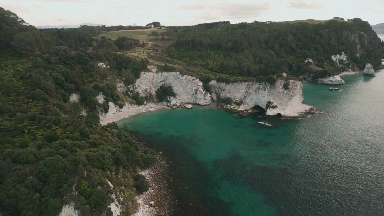New Zealand Coastline Cliffs and Turquoise Water