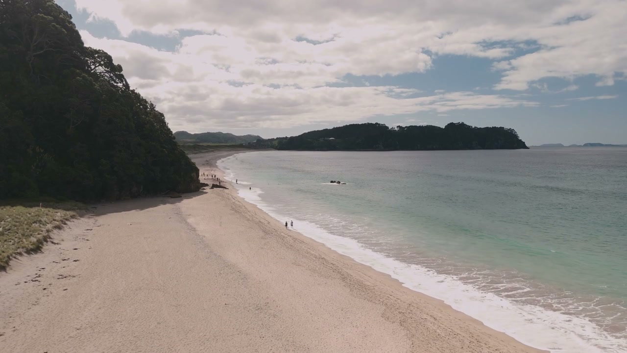 New Zealand Coastal Beach Landscape
