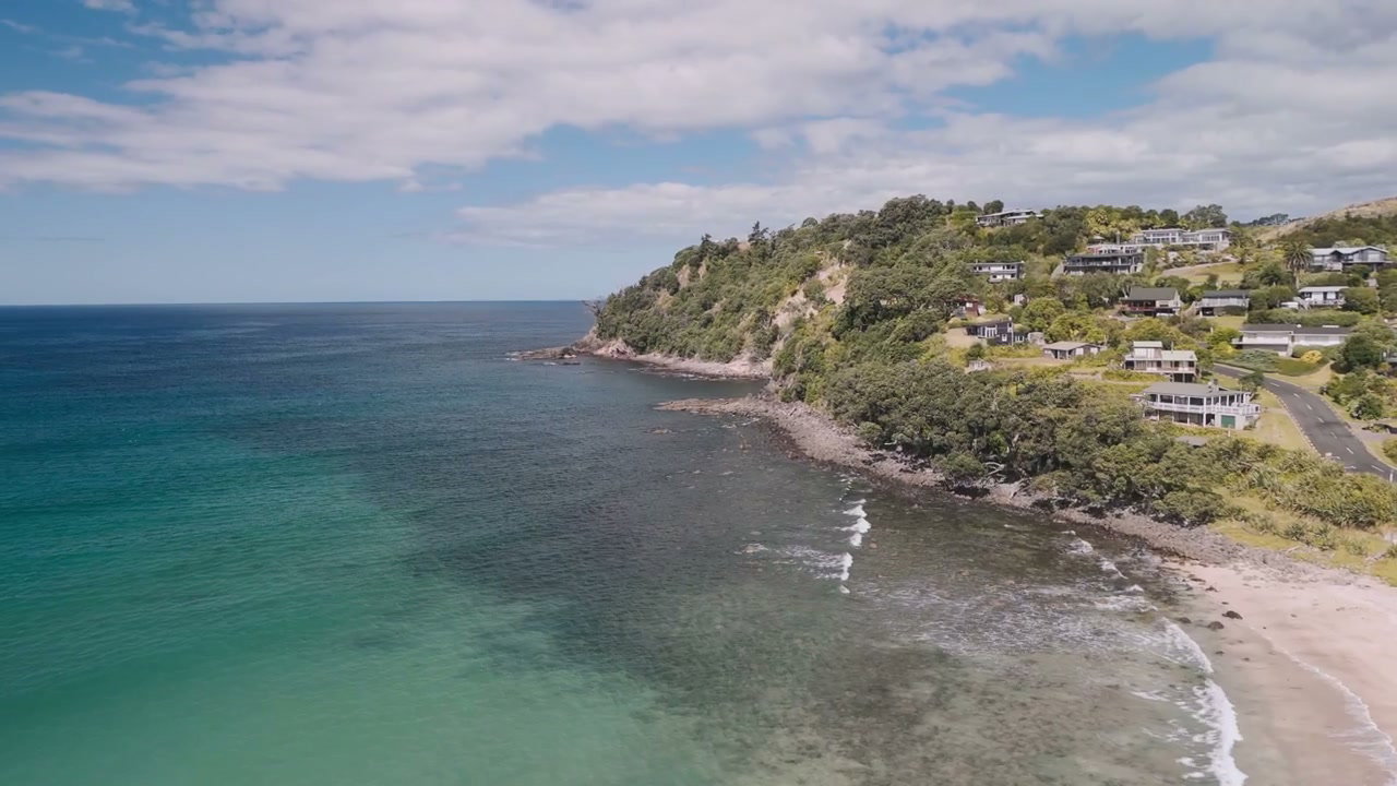 New Zealand Coast with Houses Above Beach