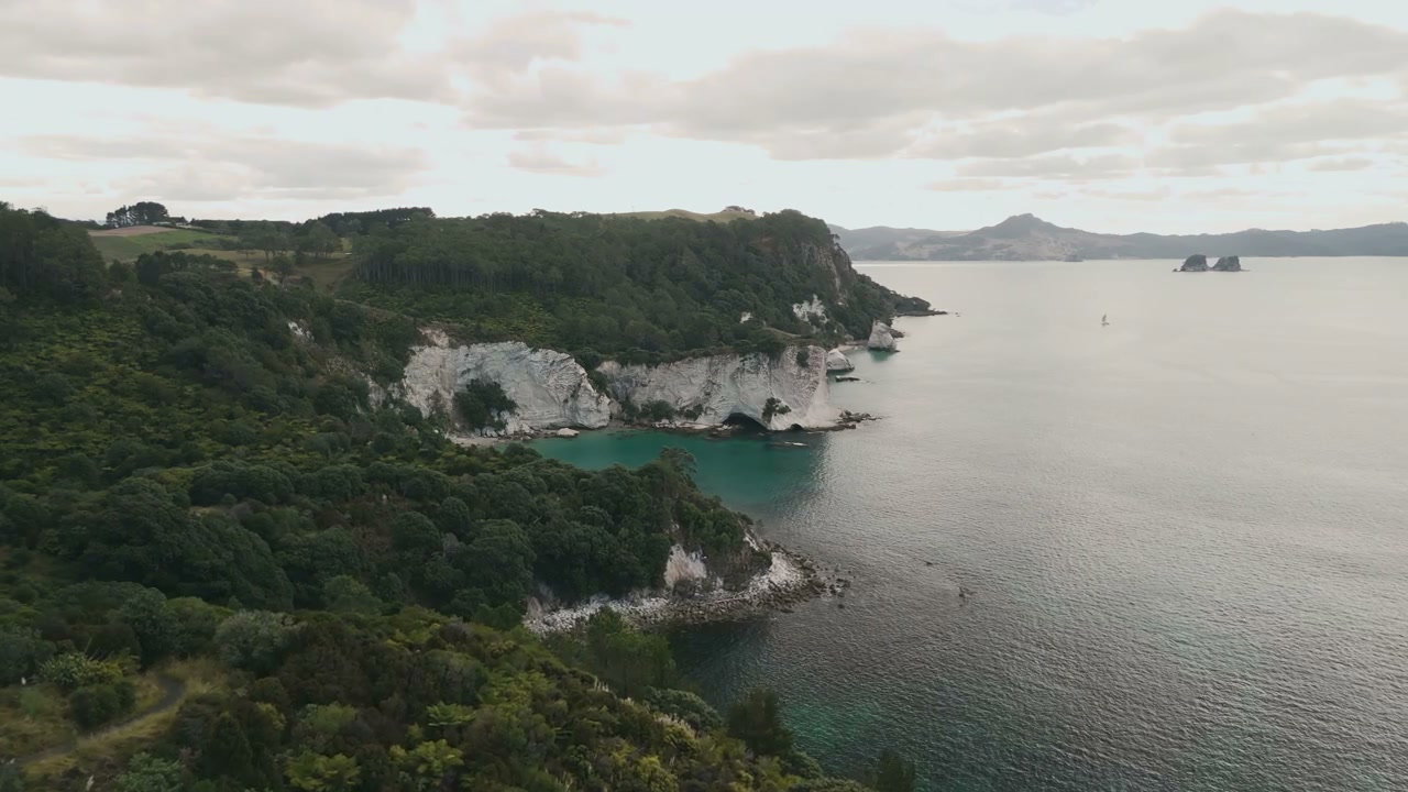 New Zealand Coastline with White Cliffs and Bay