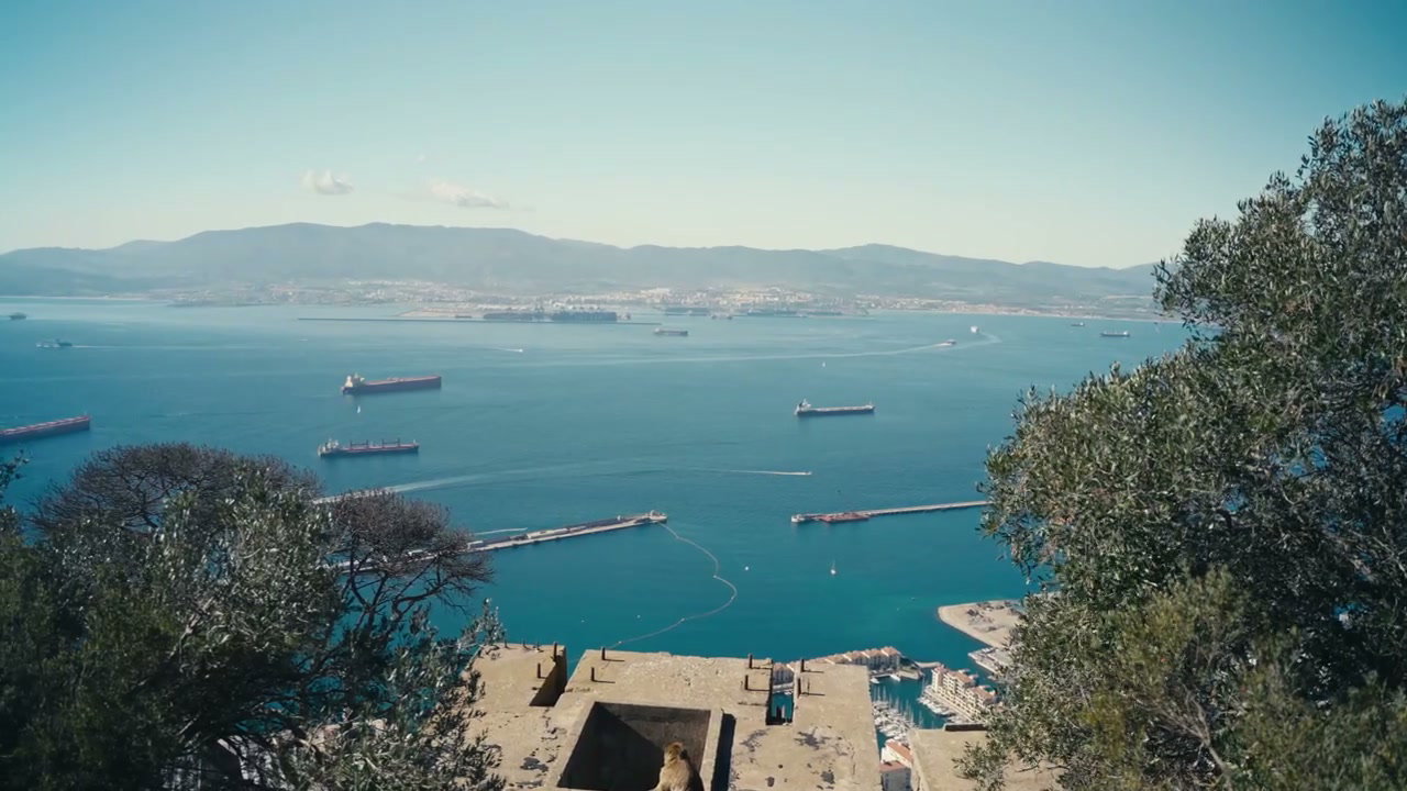 Strait of Gibraltar Ship Traffic View