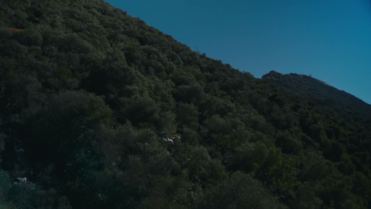 Dense Green Hillside, Gibraltar