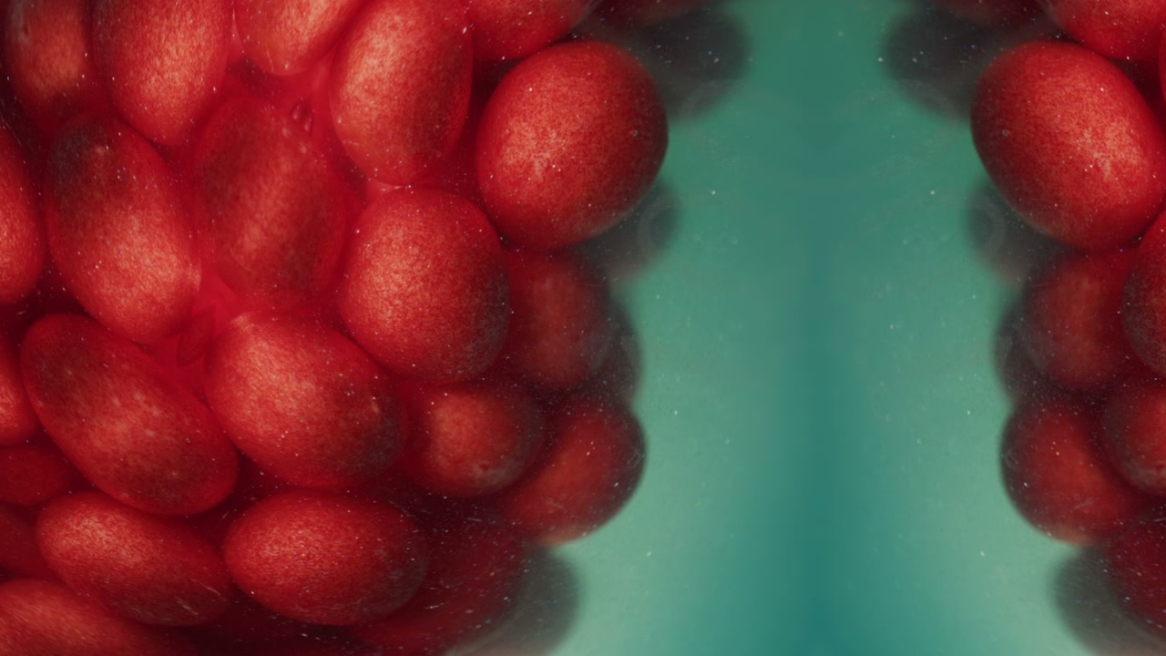 Macro View of Red Organic Seeds in Water