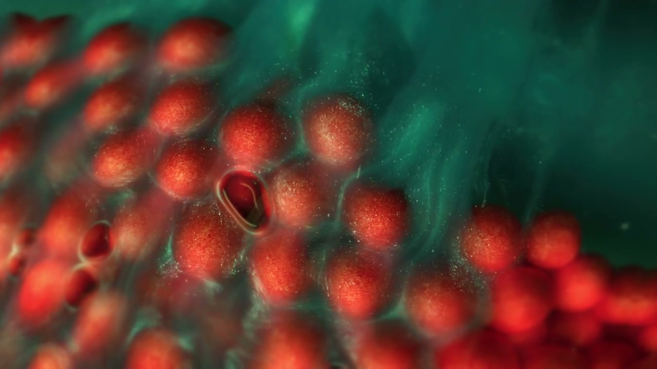Microscopic Organic Flow