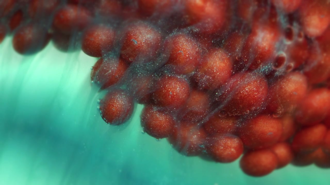 Microscopic Red Spheres Underwater