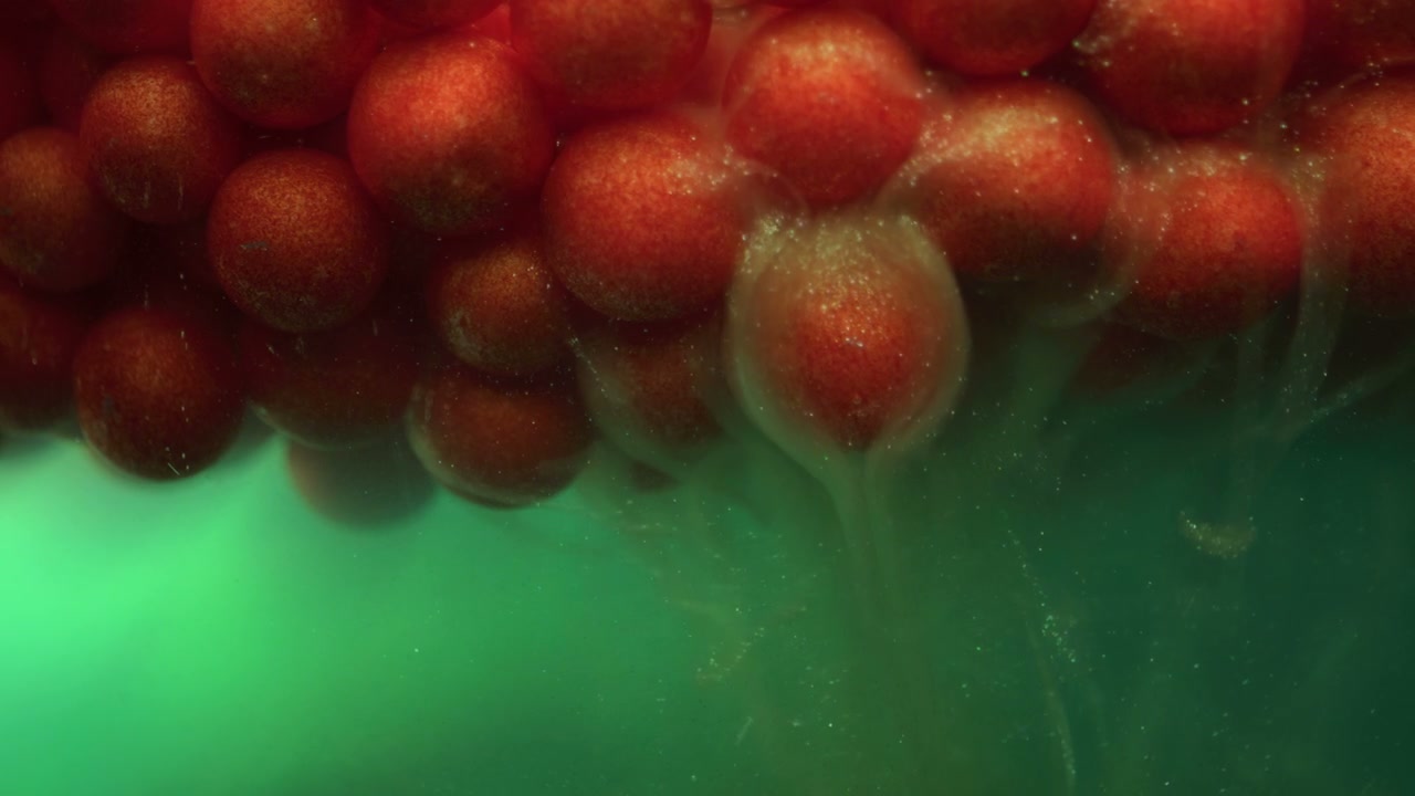 Abstract Organic Red Bubbles in Green Liquid