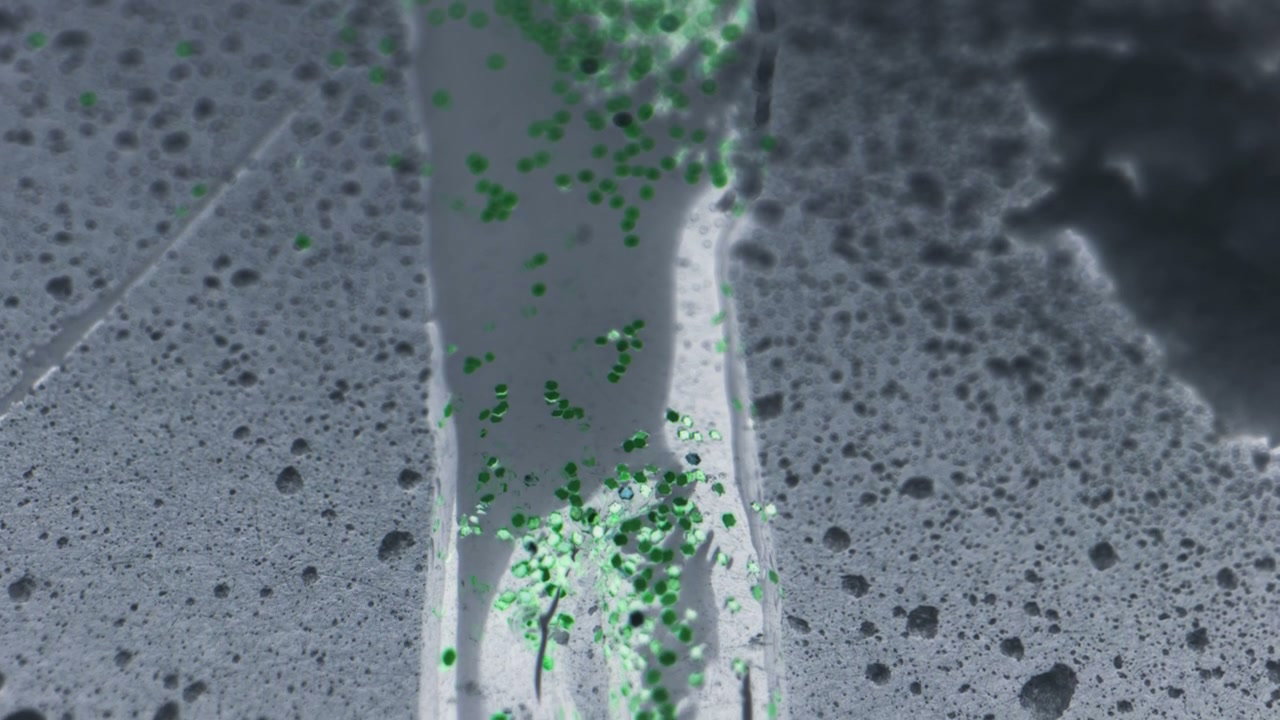 Green Particles Flowing in Liquid Channel