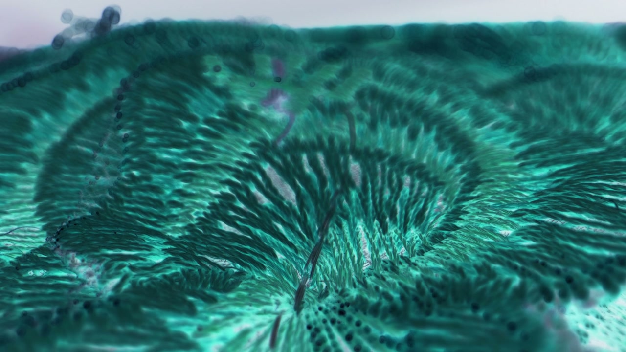 Dynamic Organic Surface Patterns