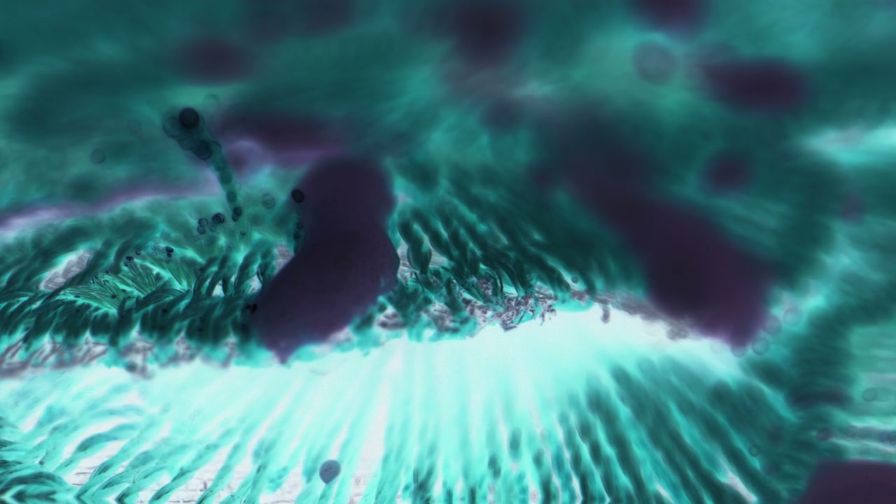 Abstract Organic Cellular Movement