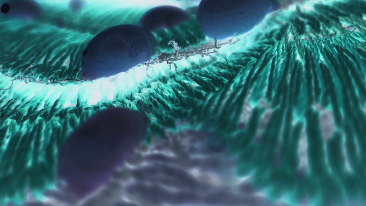 Abstract Organic Surface with Moving Cells