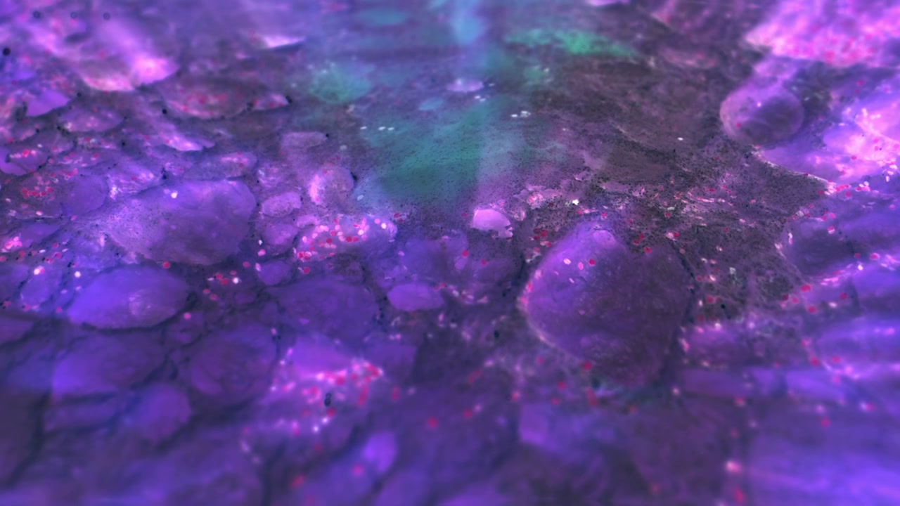 Shimmering Purple Abstract Surface