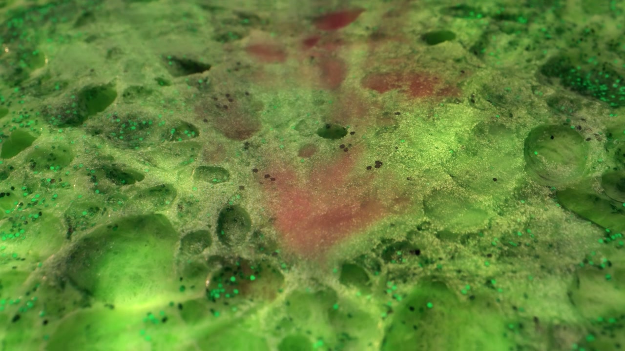 Vibrant Green Organic Slime Surface