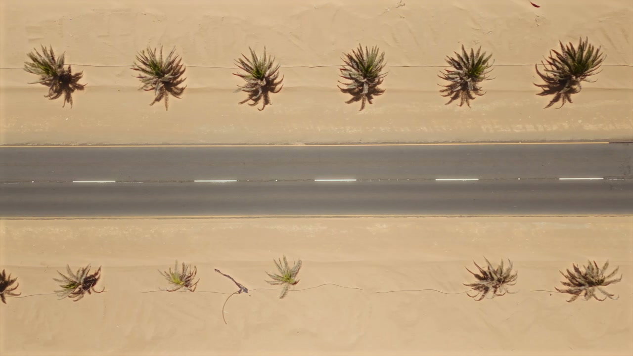 Aerial View of Desert Road with Palm Trees