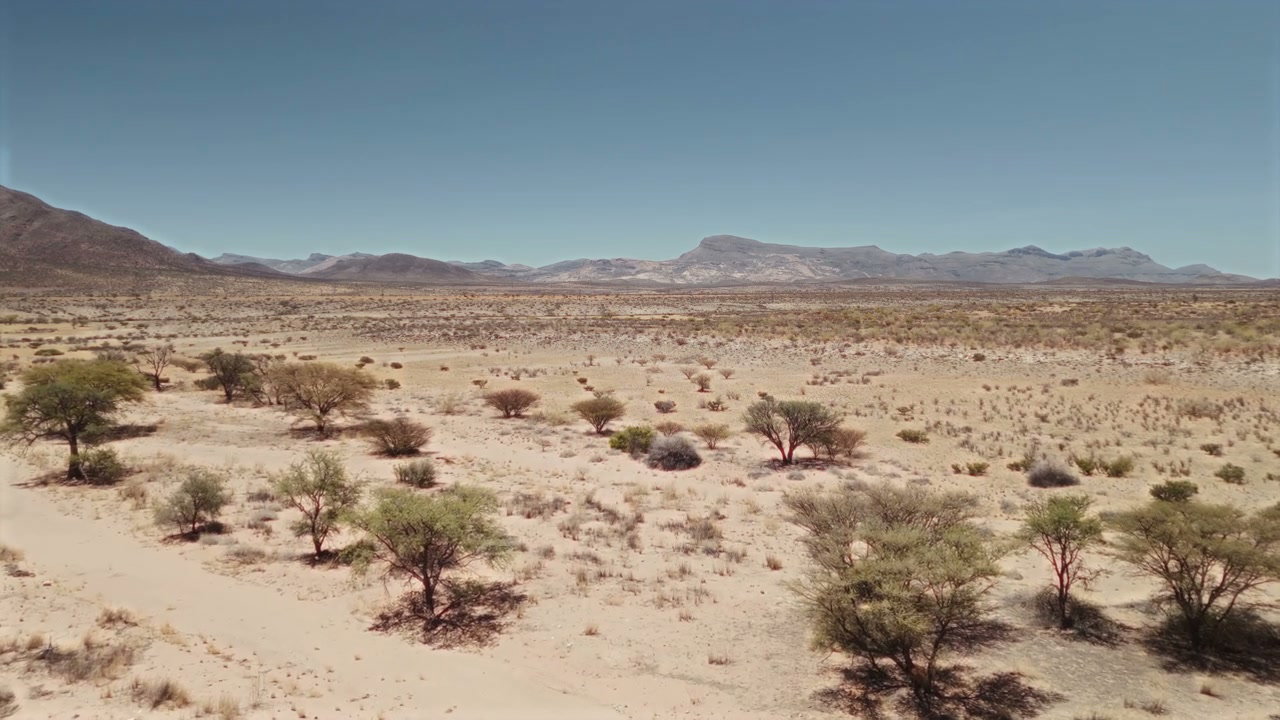 Arid Desert Landscape with Mountains
