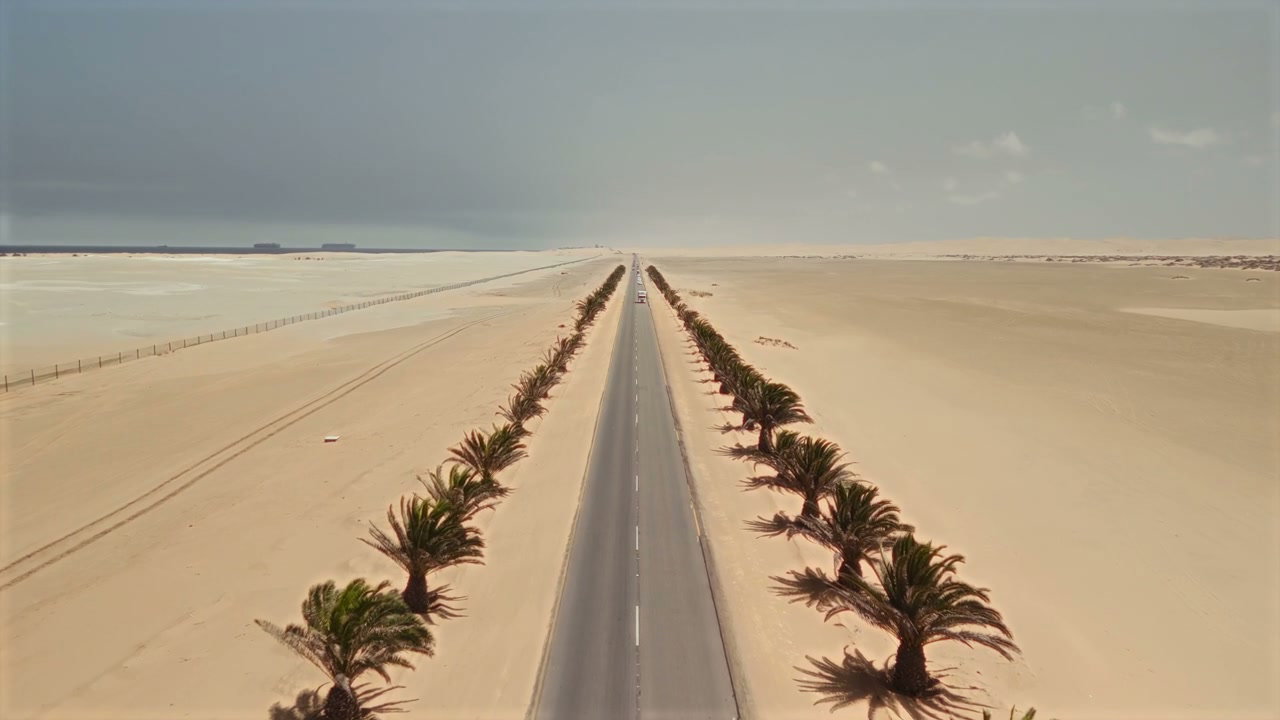 Desert Highway Lined with Palm Trees