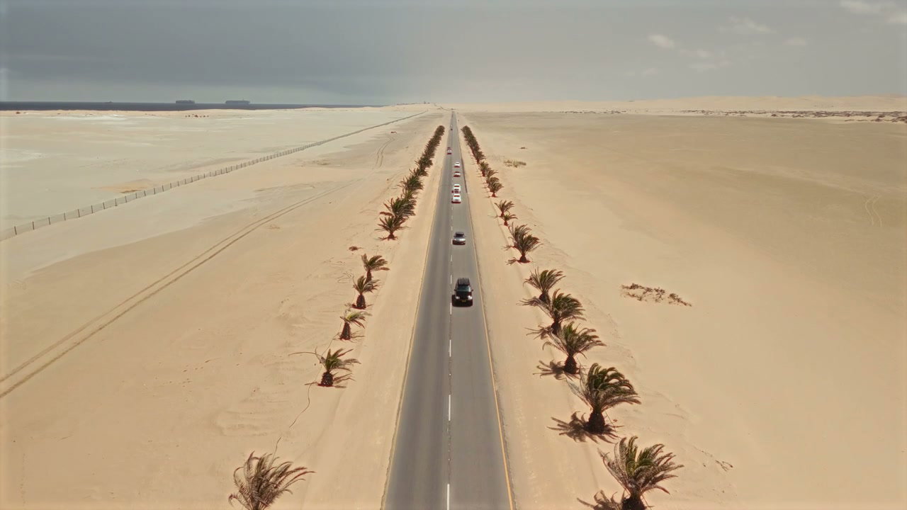 Cars Driving on a Palm Lined Desert Road
