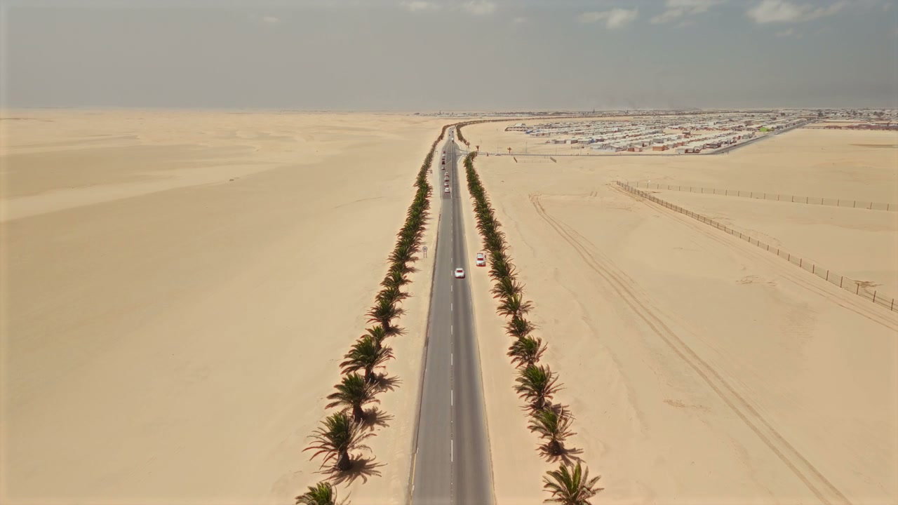 Aerial Desert Road Lined With Palm Trees
