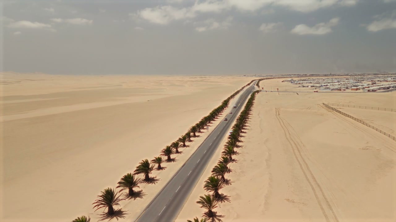 Aerial View of Desert Road and Palm Trees