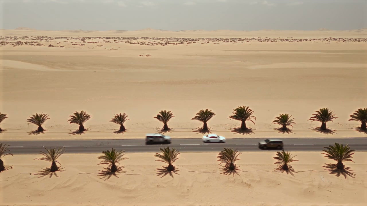 Aerial View of Desert Road with Palm Trees