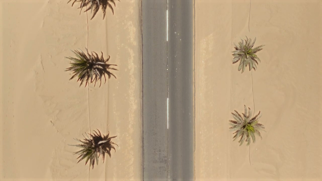 Aerial View Desert Road With Palm Trees