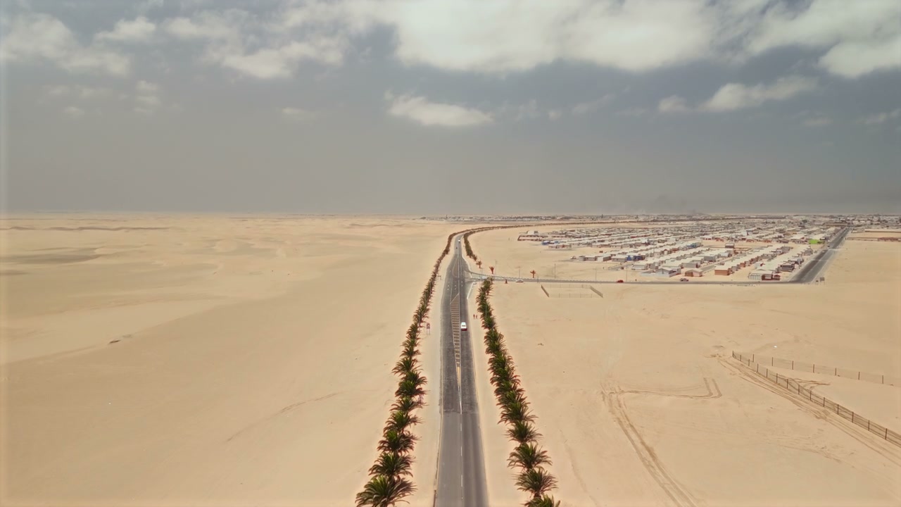 Car on Desert Road Lined with Palm Trees